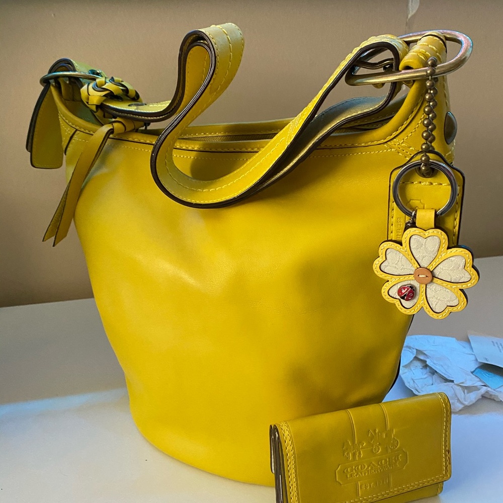 Coach 100% leather bucket bag
